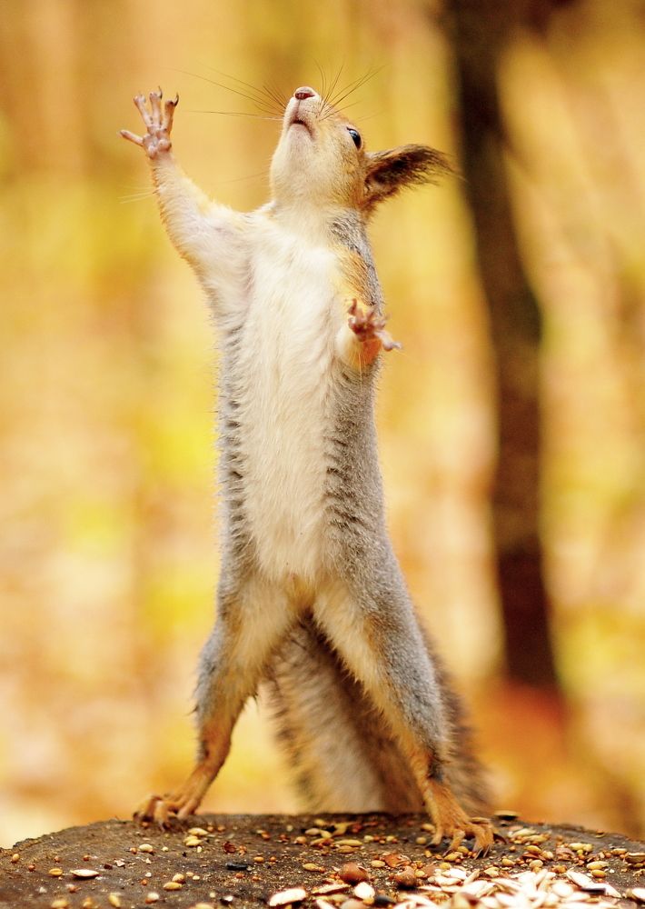 Photograph by Алексей Козлов