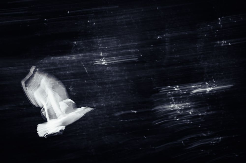 Photograph by Dmitry Ishniyazov