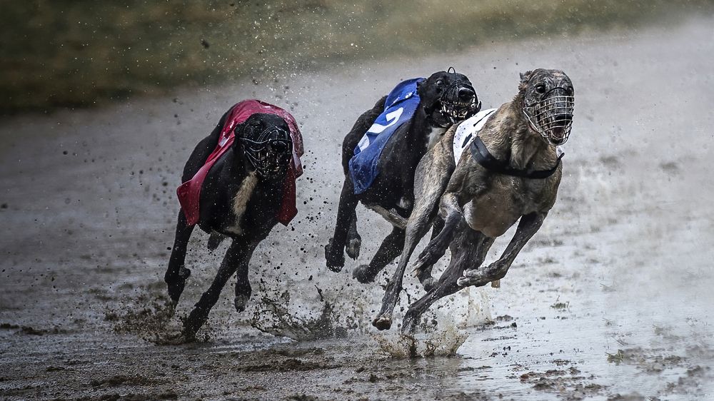 Photograph by Marie-george Lavaurs