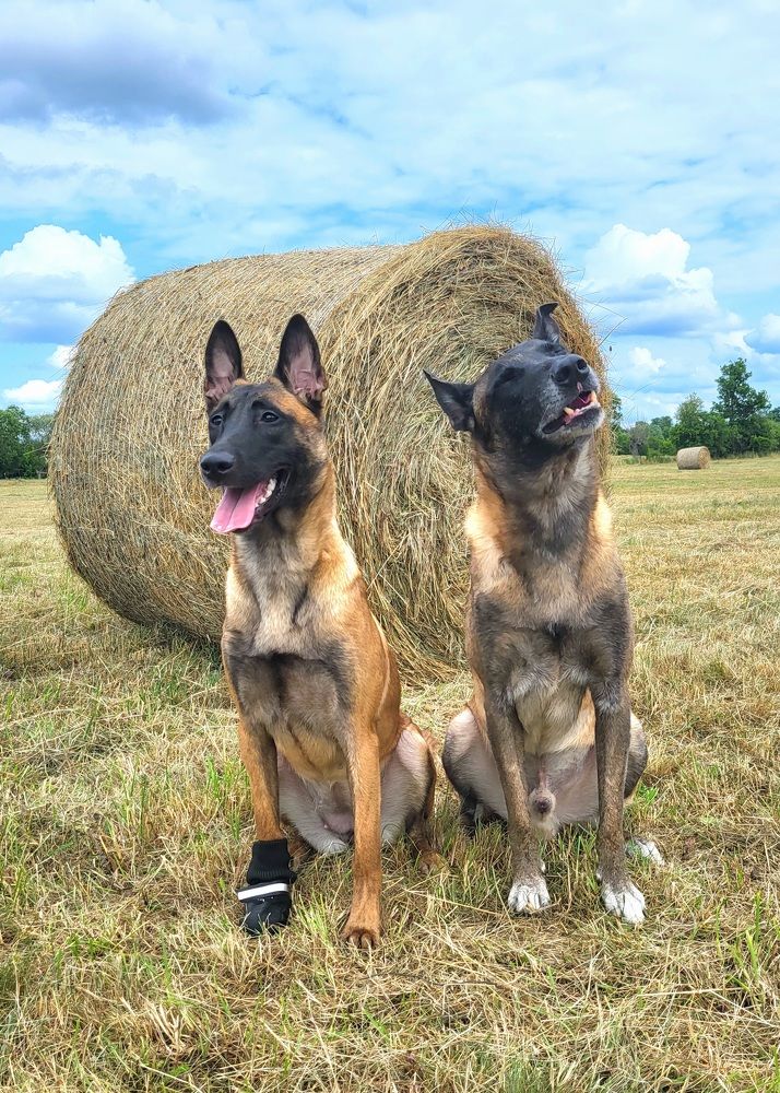 Фотография автора Анна Яковенко