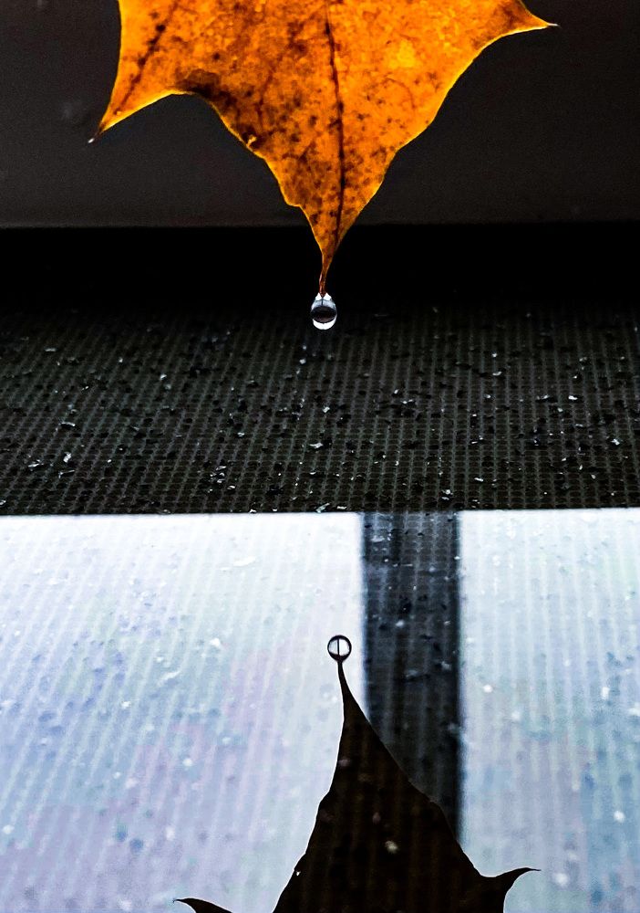 Photograph by Наталья Ситова