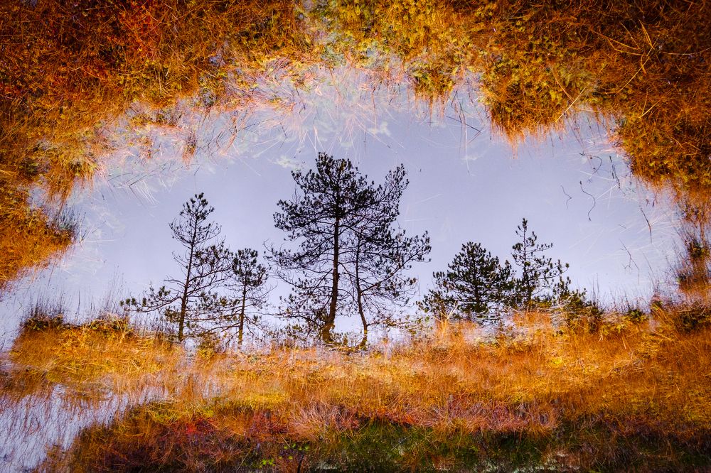 Photograph by Dmitry Ishniyazov