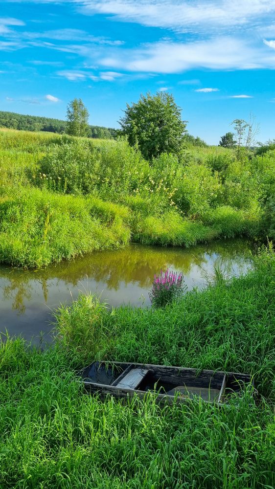 Photograph by Ольга