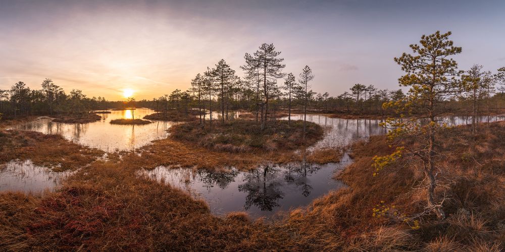 Photograph by Dmitry Ishniyazov