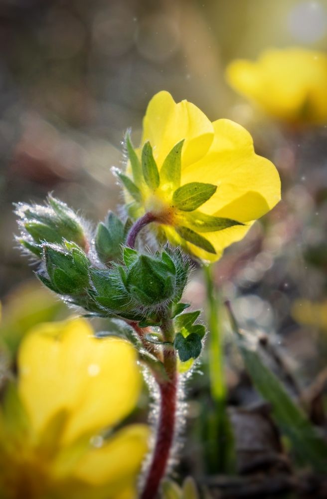 Photograph by Тамара Аржанова