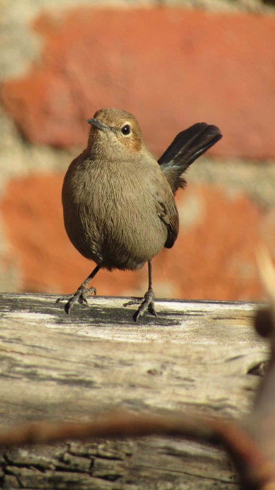 Photograph by Pihu chudasama