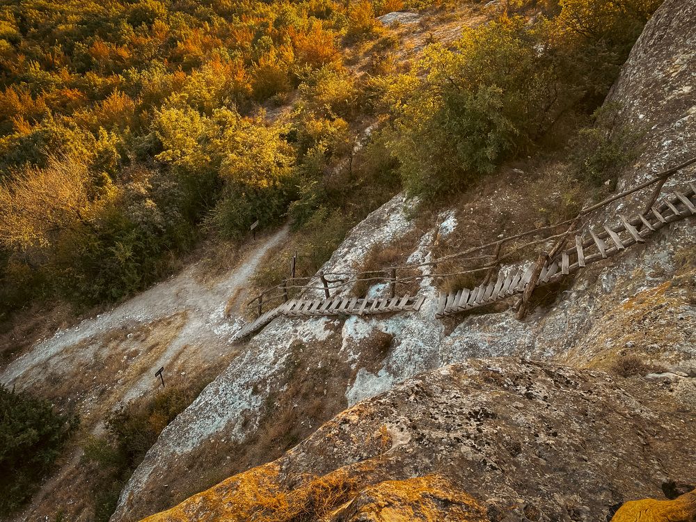 Фотография автора Татьяна Аникина