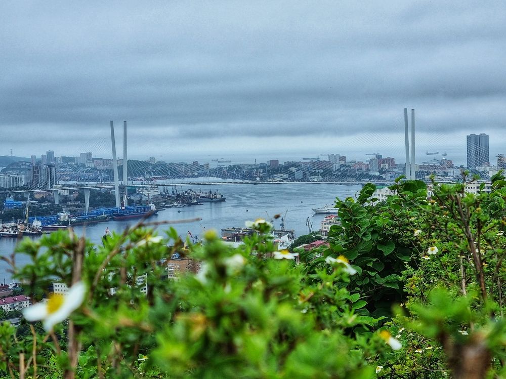 Photograph by Ольга