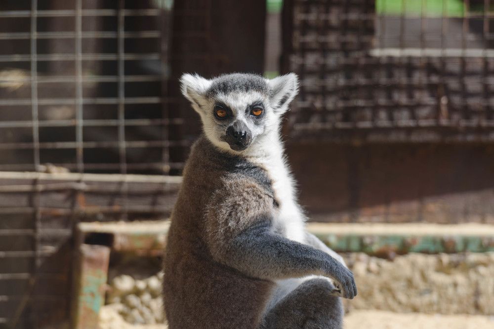 Photograph by Uliya Krakos