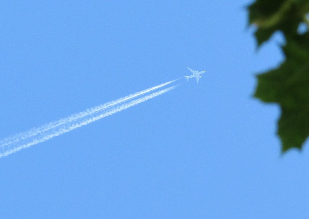 Photograph by Татьяна Смирнова