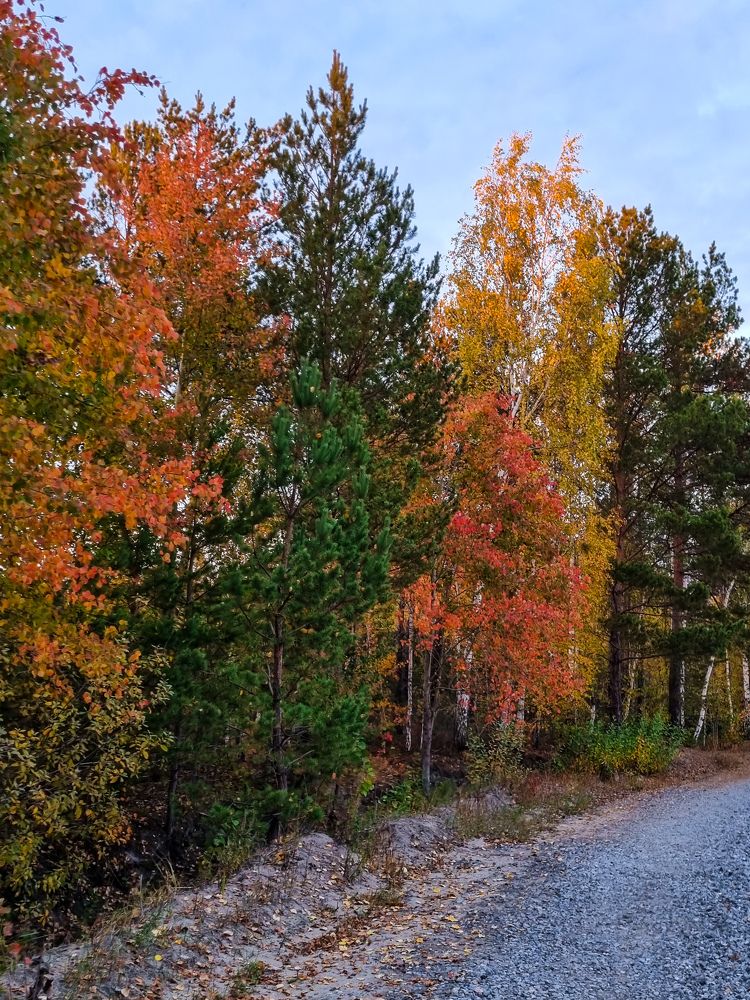 Photograph by Ольга