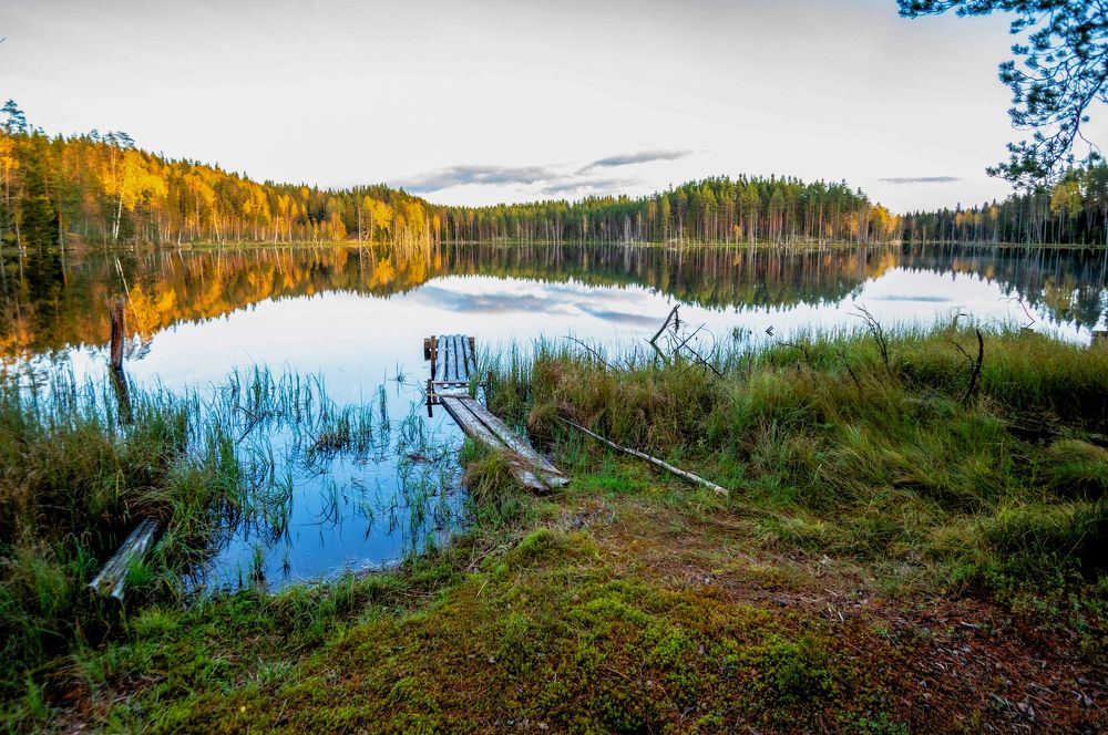 Photograph by Олег Менакер