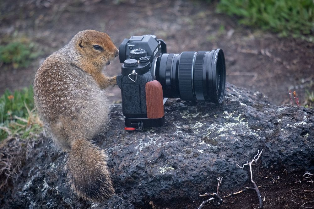 Photograph by Dmitry Ishniyazov