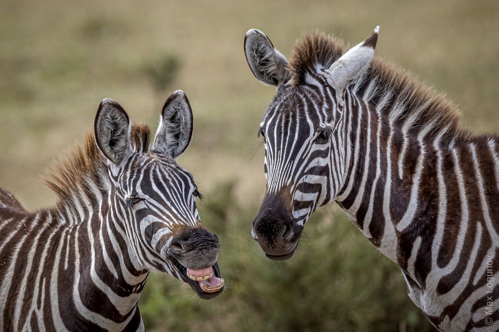 Всегда найдётся друг, который испортит фотографию.