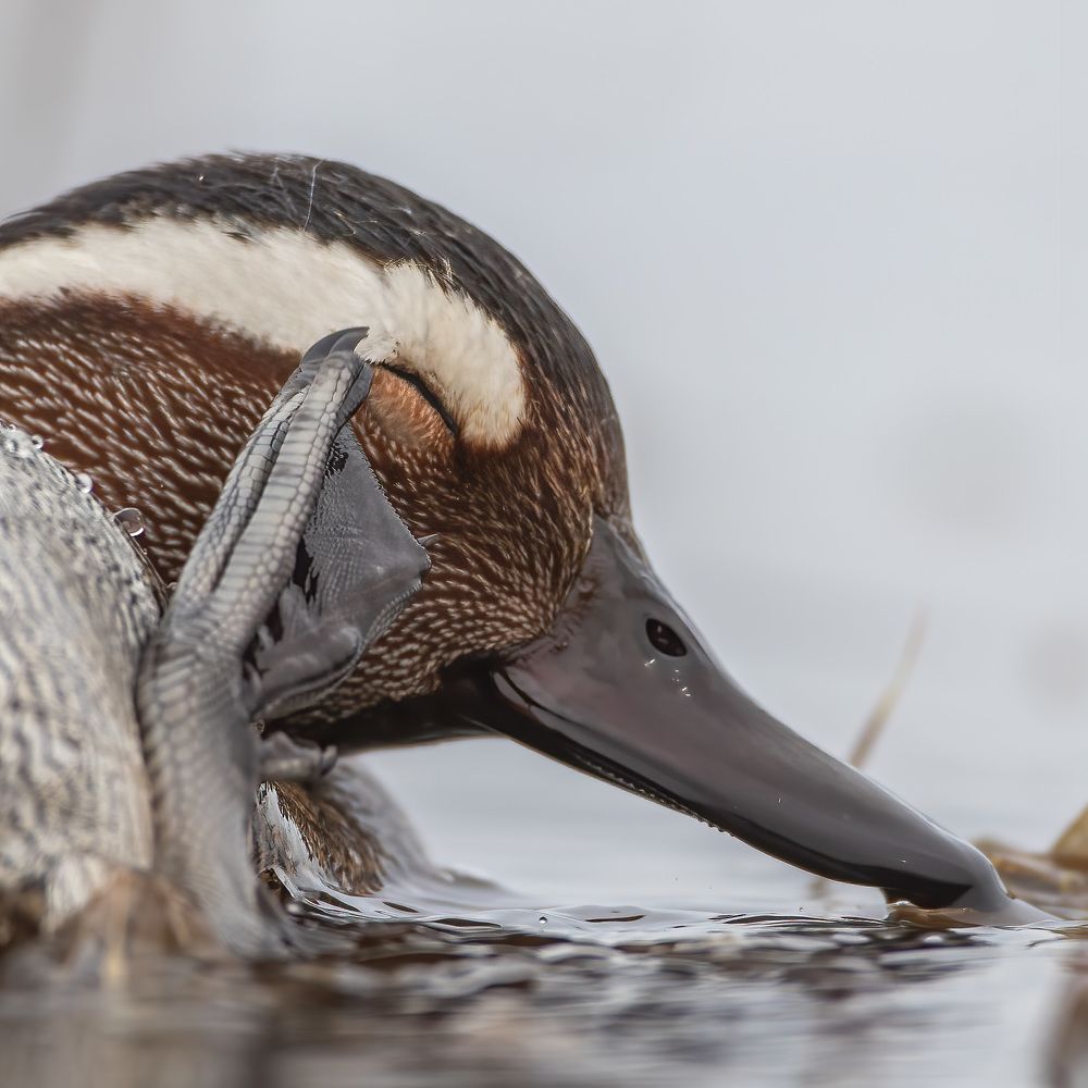 Photograph by Логунов Максим