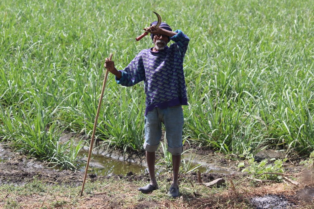 Photograph by Sharad vadoliya