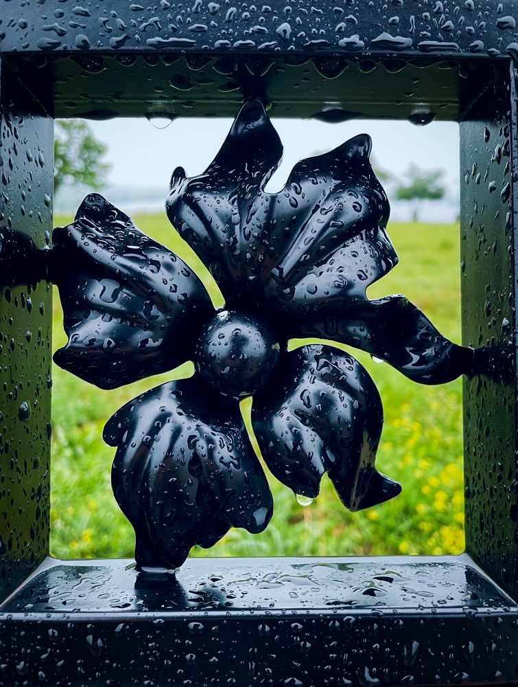 Фотография автора Рамзия Хисамутдинова