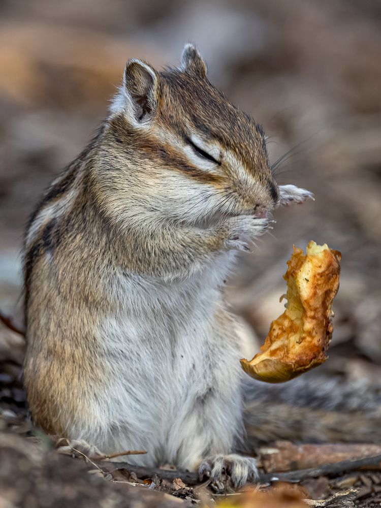 Photograph by Логунов Максим