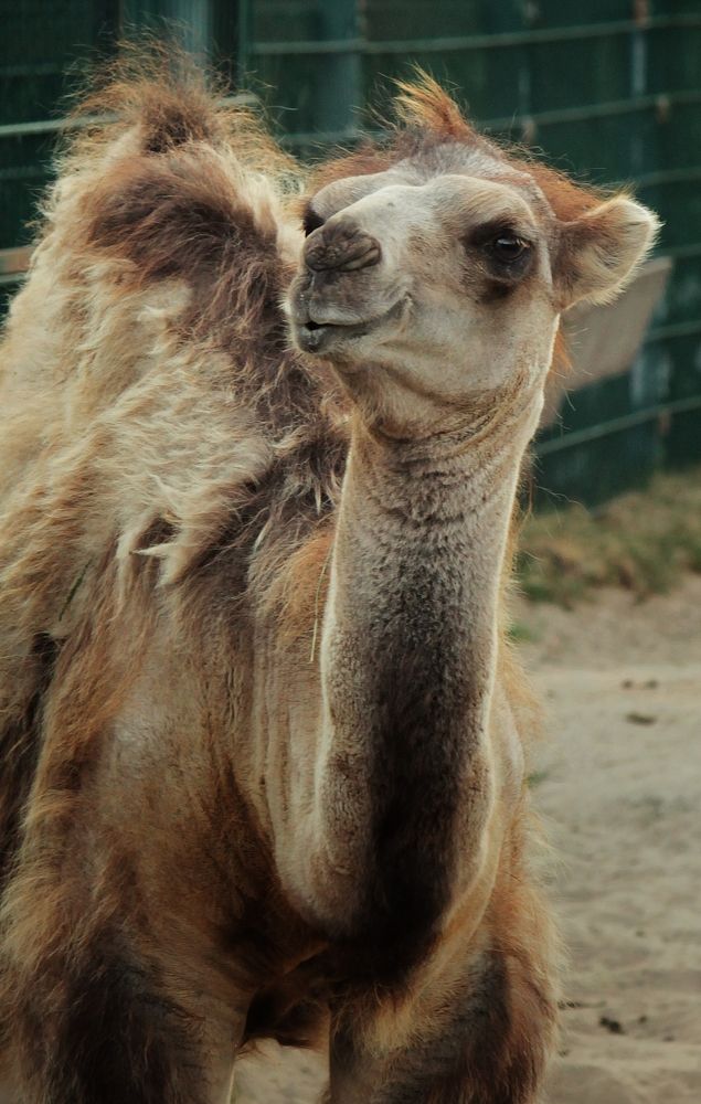 Photograph by Ирина Салминен