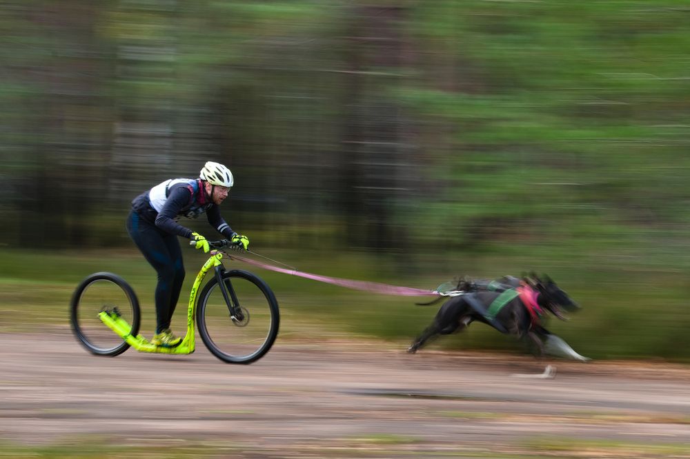 Фотография автора Владимир Коровяковский