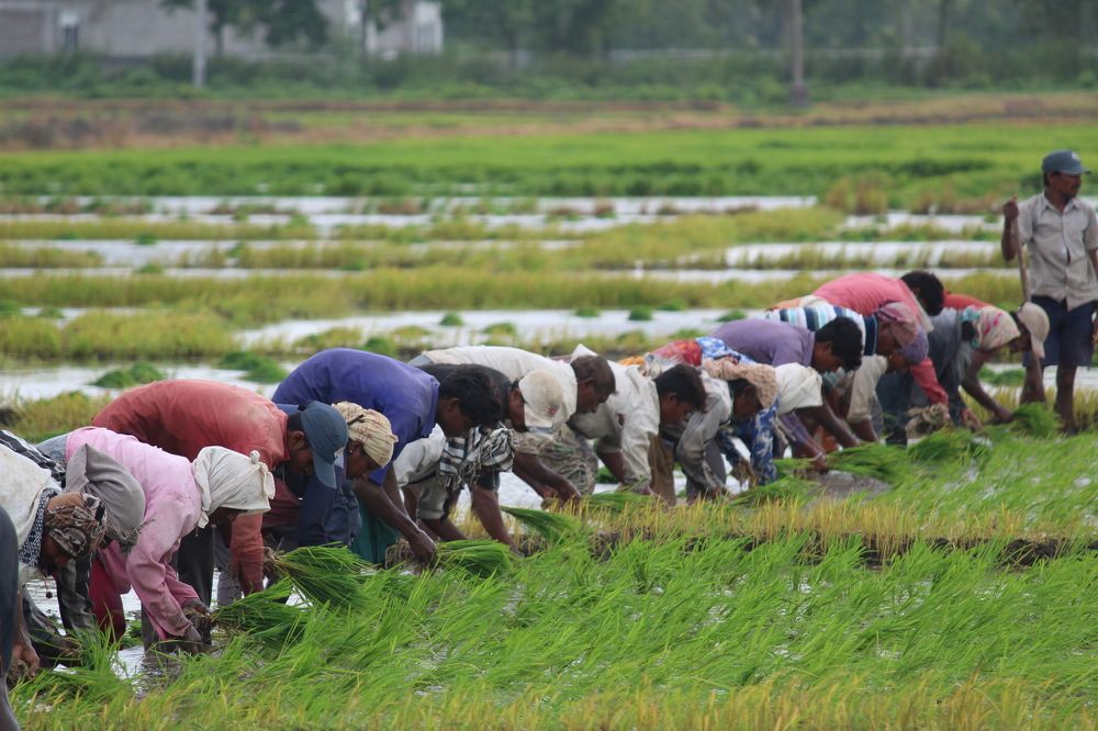 Photograph by Sharad vadoliya