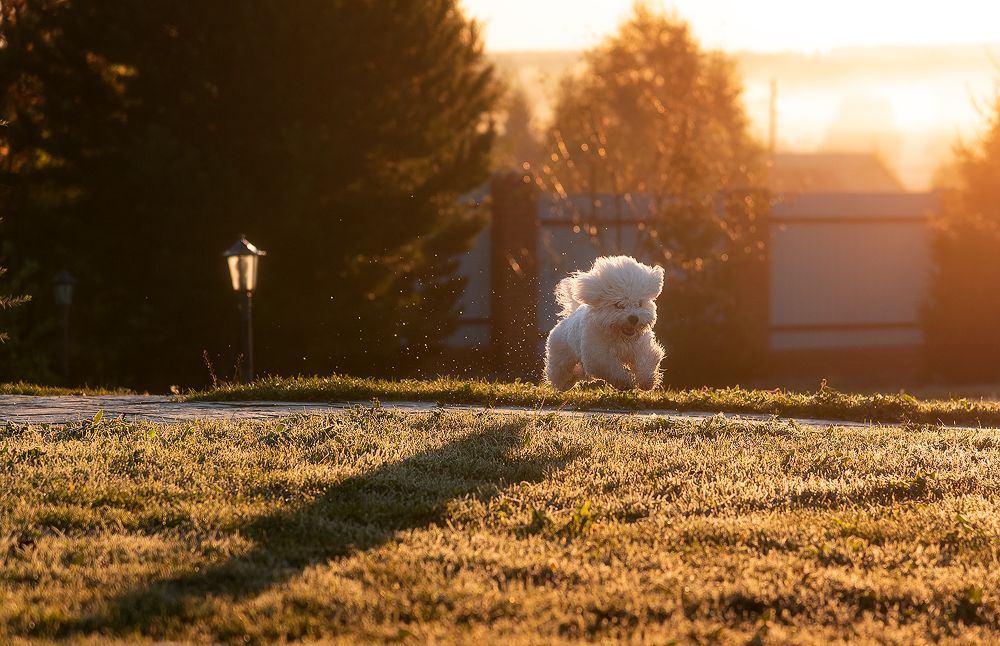 Photograph by Суворов Игорь