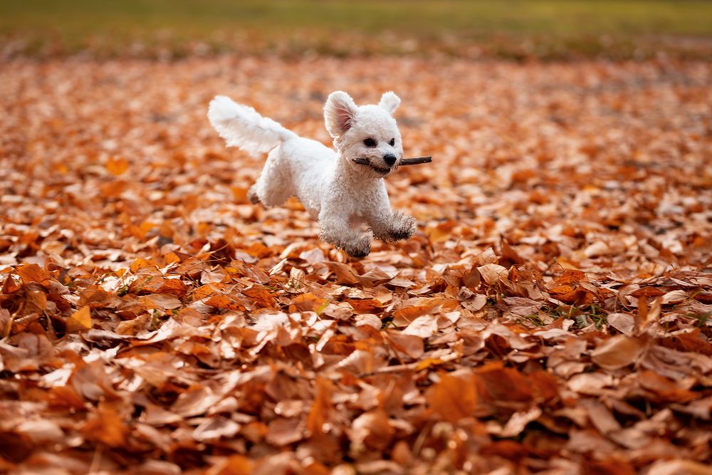 Photograph by Суворов Игорь