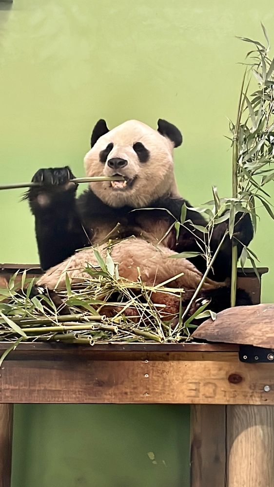 Photograph by Юлия