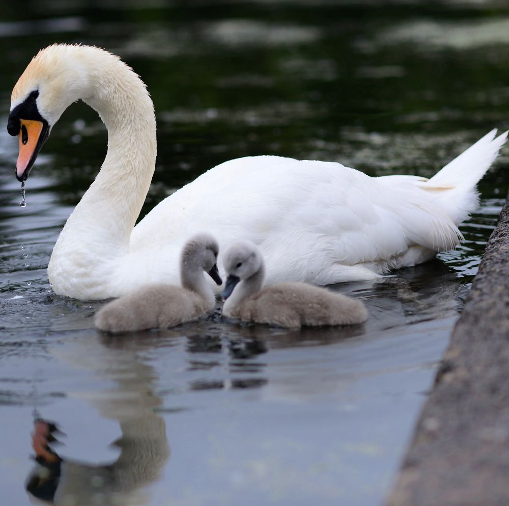 Photograph by Юлия