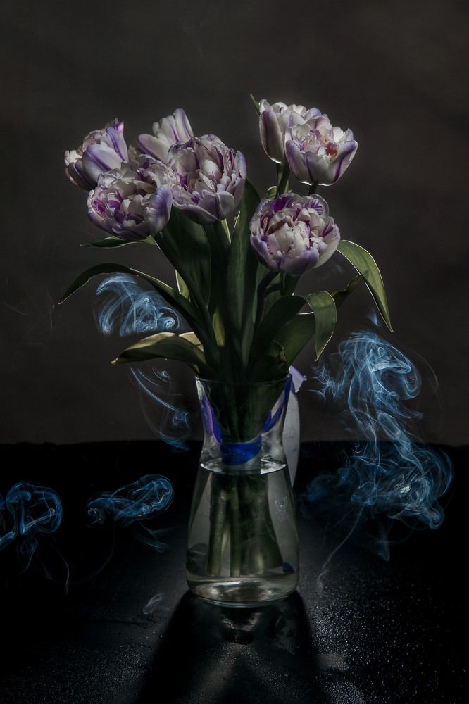 Photograph by Любовь Нефедова