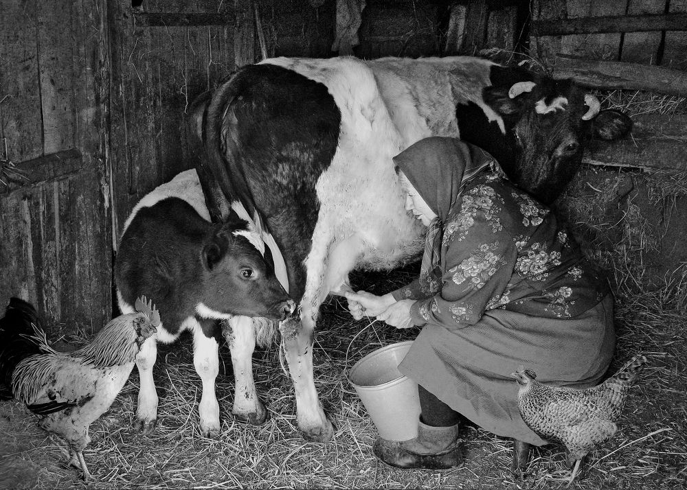 Оставь и мне молочка.