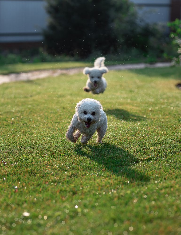 Photograph by Суворов Игорь