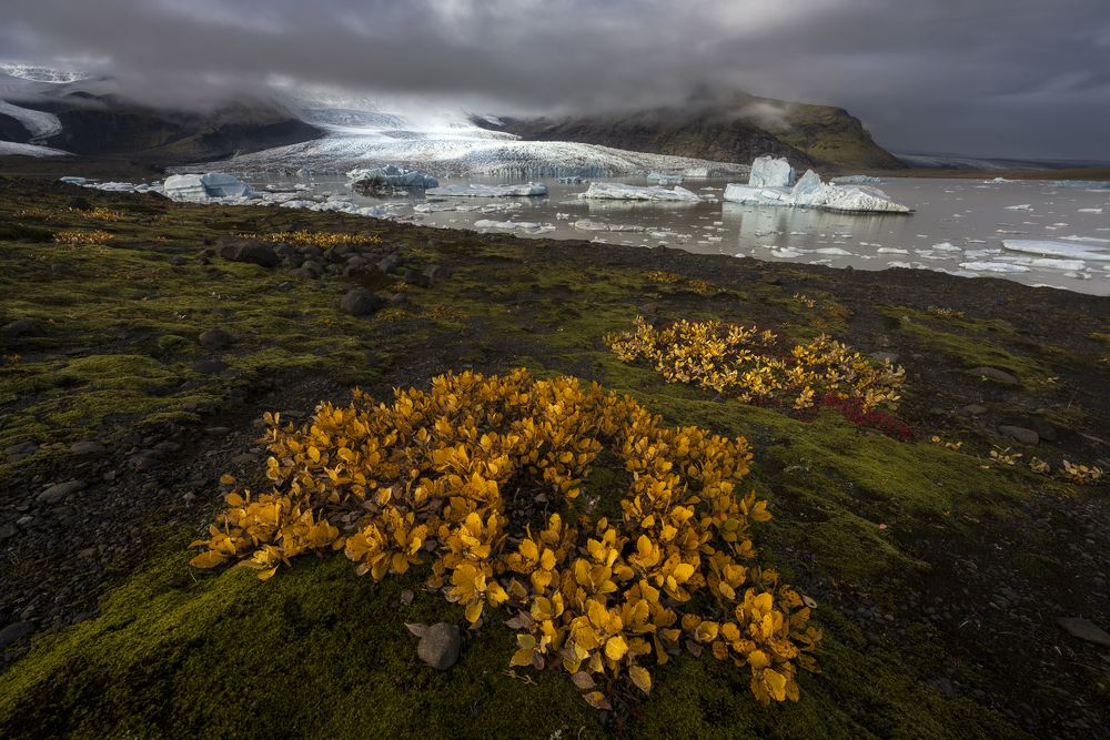 Photograph by Idan Livni