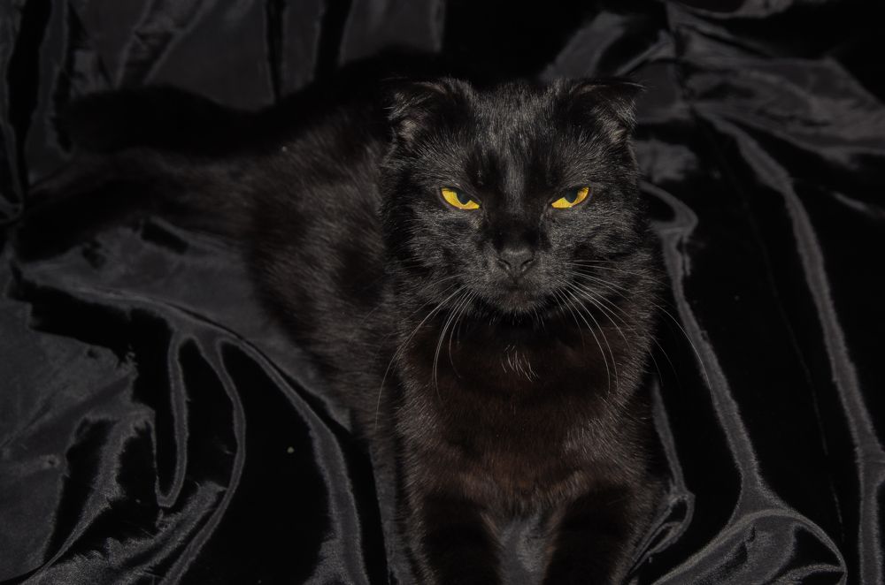 Photograph by Андрей Савёлов