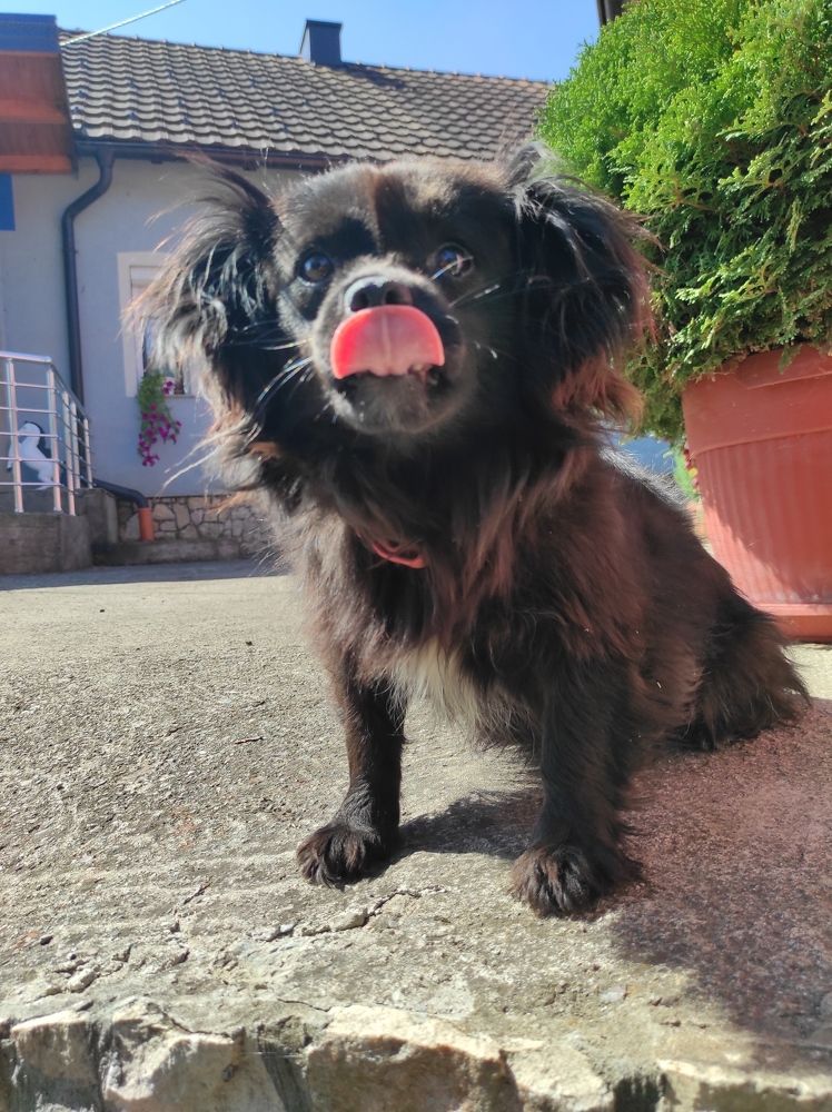 Photograph by Zeljka Miljic