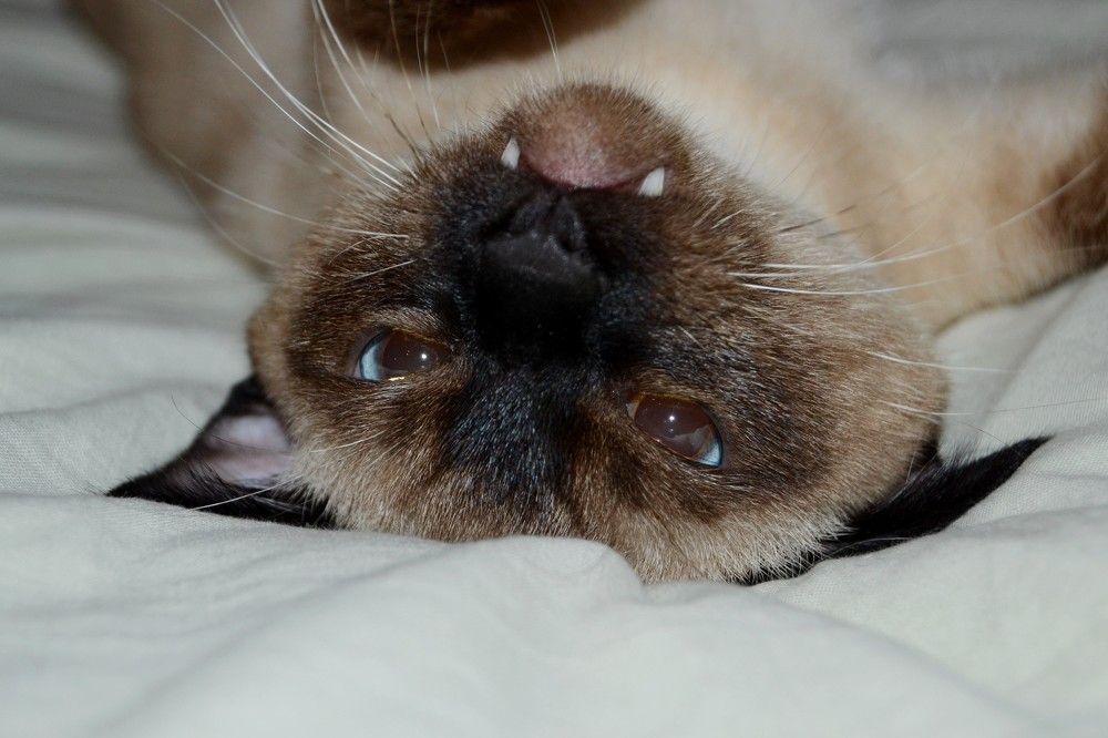 Photograph by Татьяна Куликова