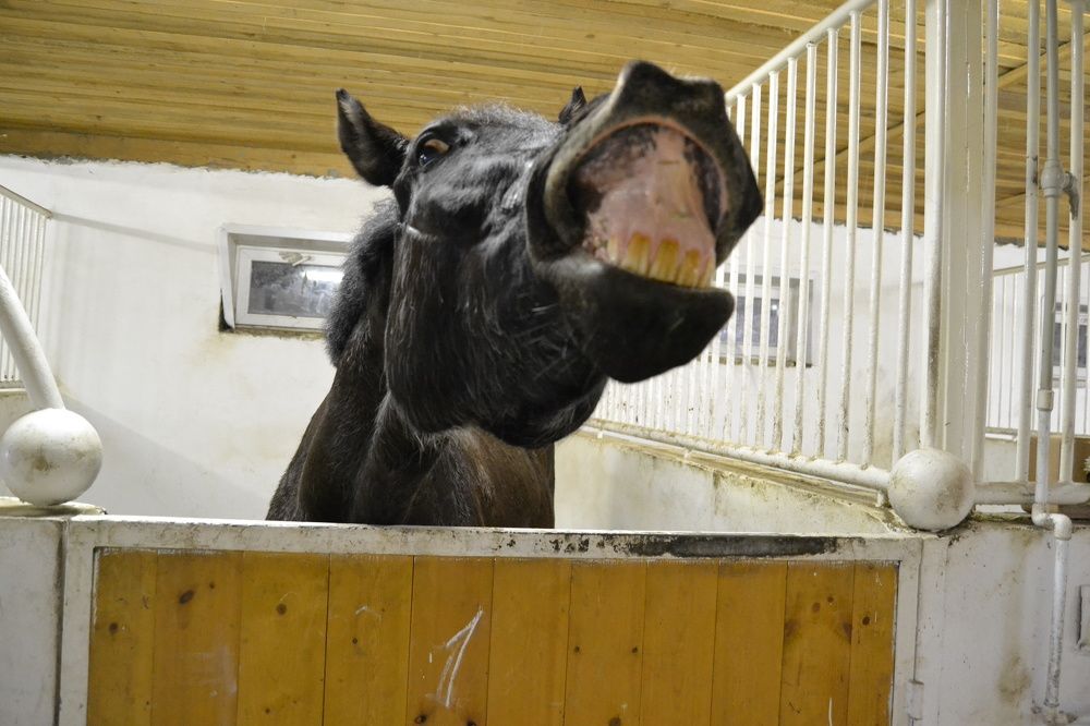 Photograph by Татьяна Куликова