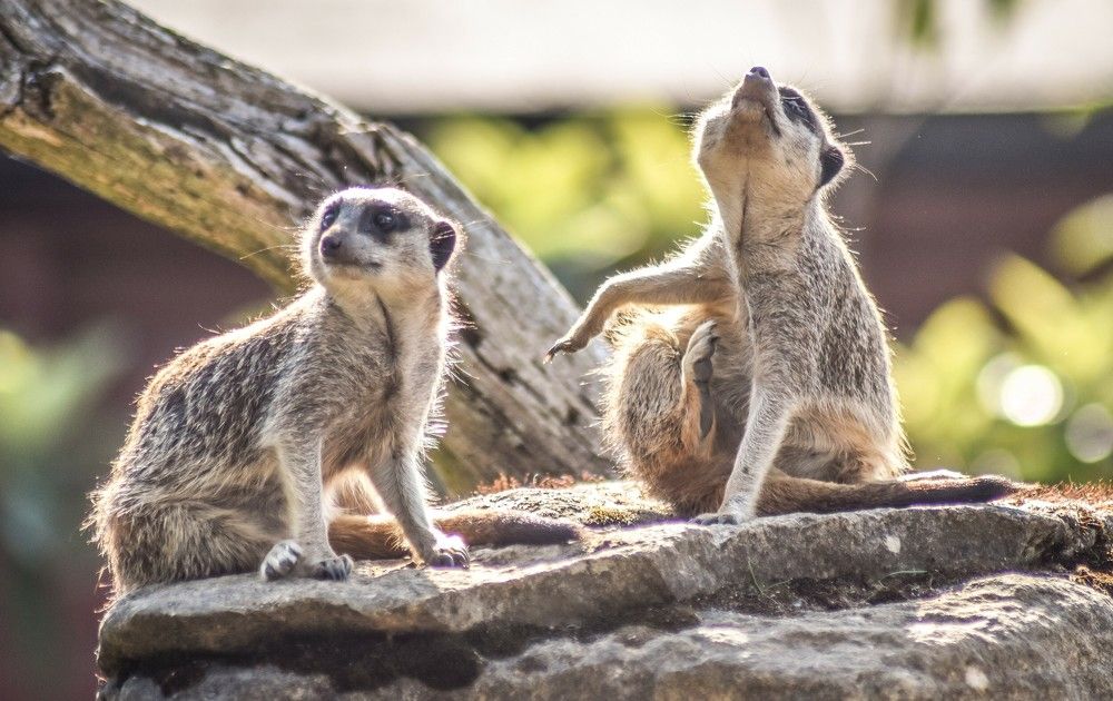 Photograph by Луиза Хисамутдинова
