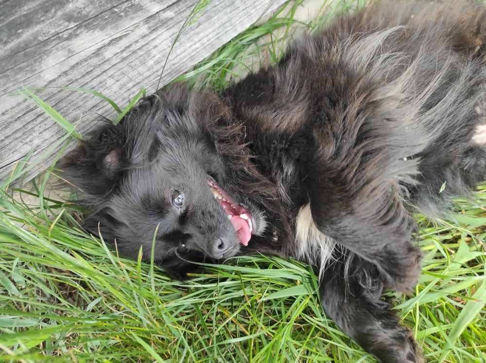 Photograph by Zeljka Miljic