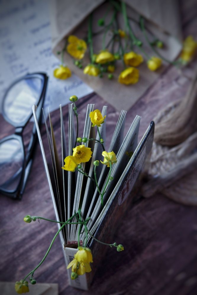 Photograph by Тамара Аржанова