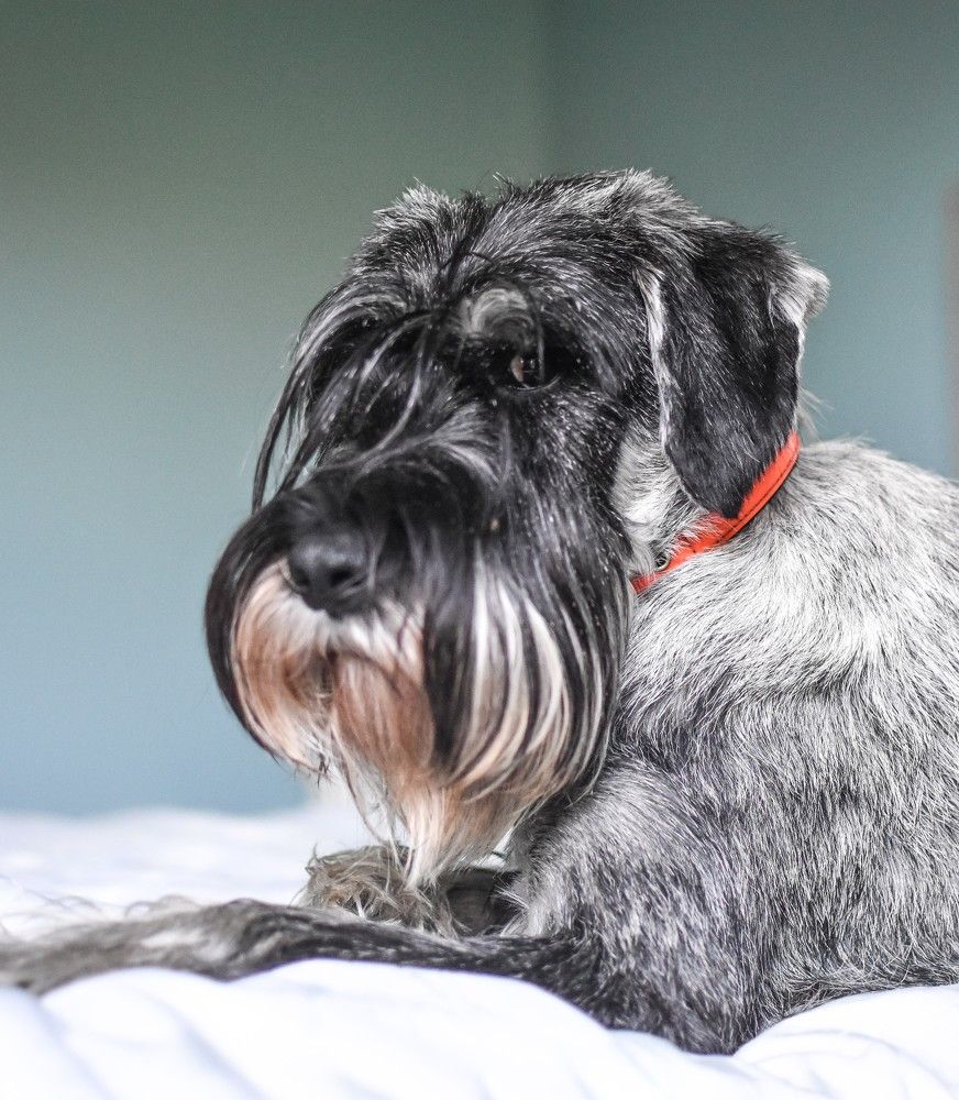 Photograph by Луиза Хисамутдинова