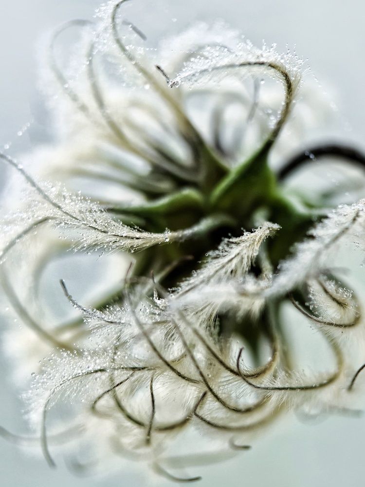 Photograph by Светлана Смирнова