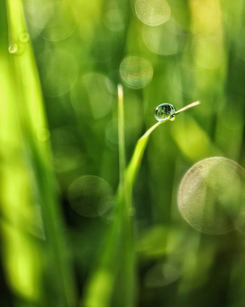 Photograph by Светлана Смирнова