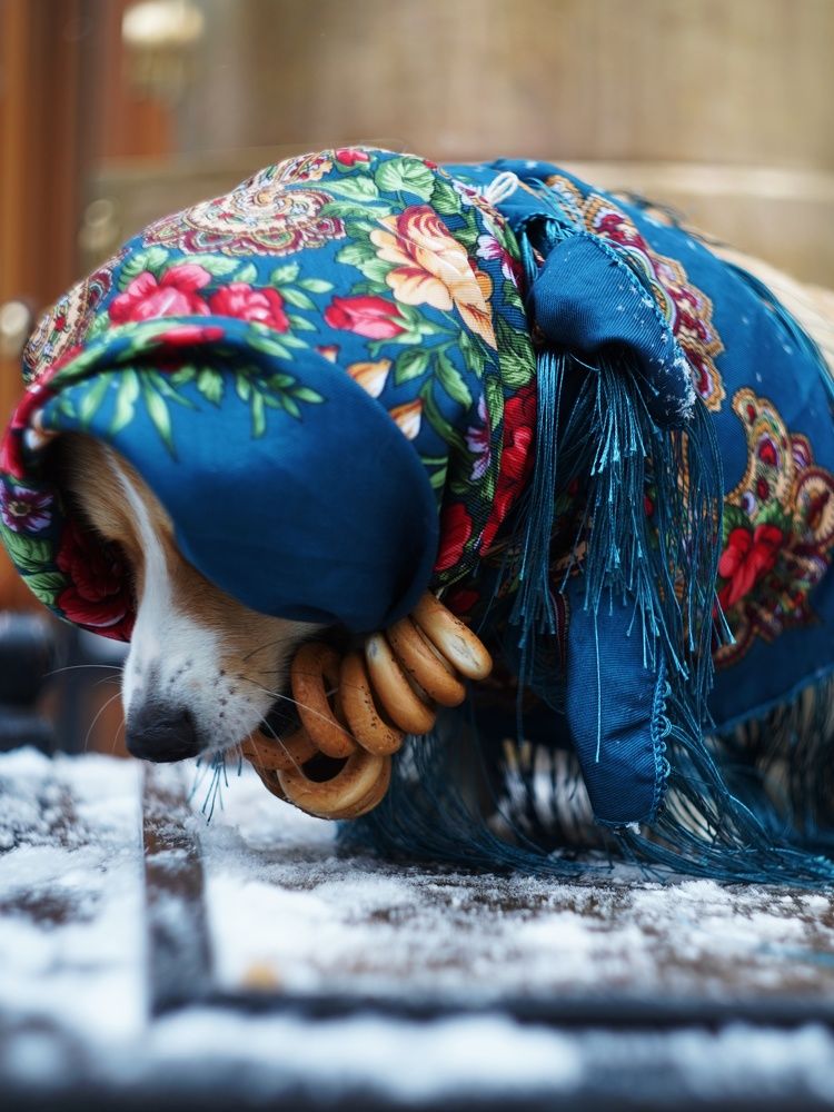 Photograph by Светлана Смирнова