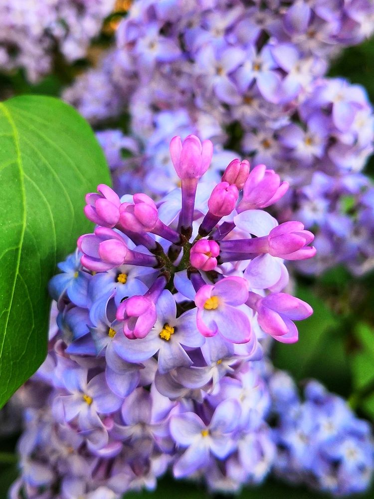 Photograph by Зимфира Хазиева