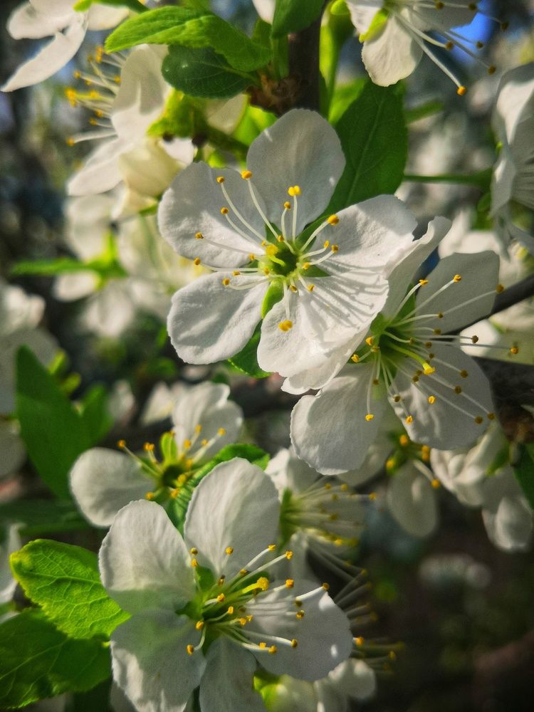 Photograph by Зимфира Хазиева