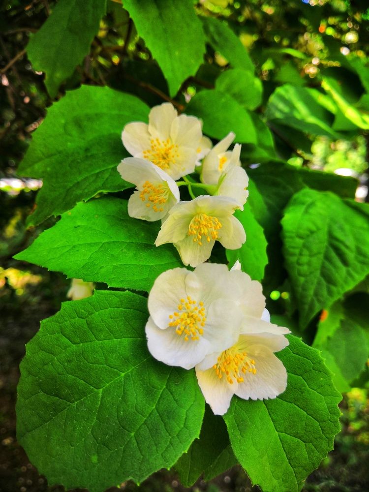 Photograph by Зимфира Хазиева