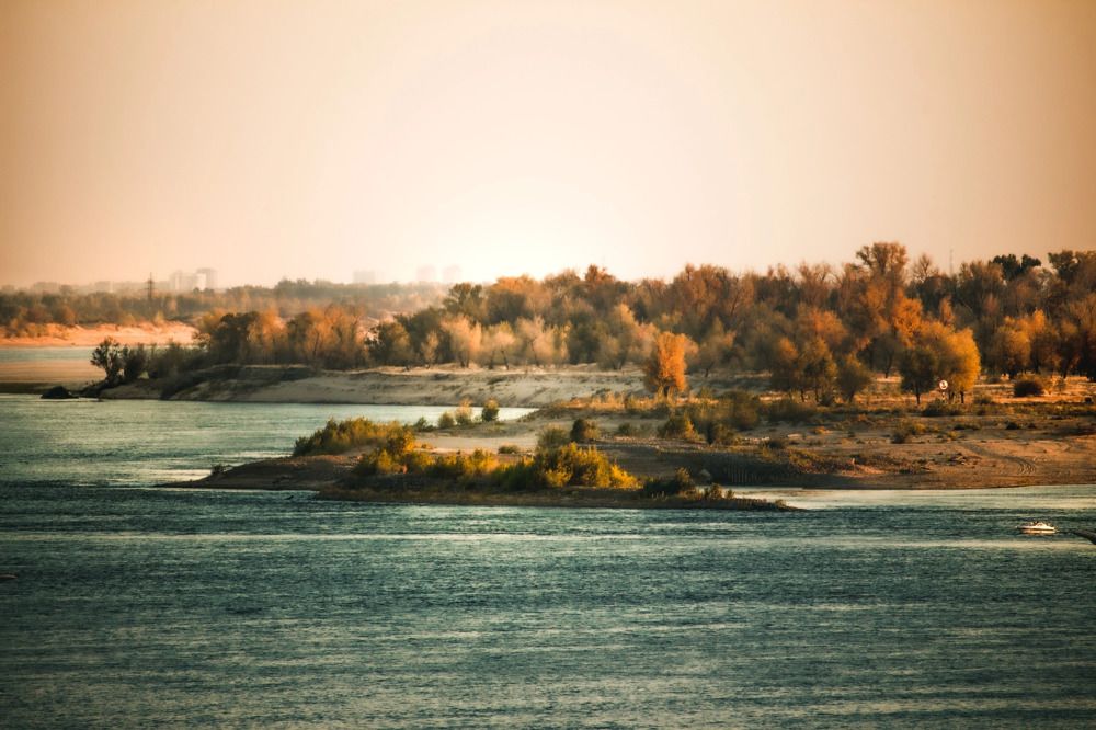 Photograph by Галчонок Фото