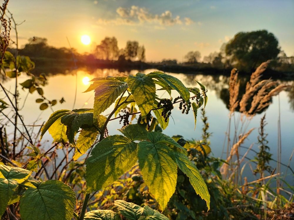 Photograph by Александр Быкадоров