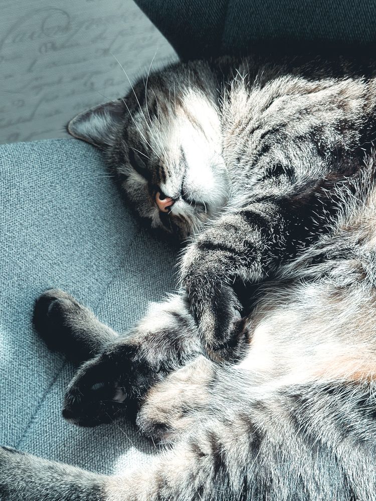 Photograph by Ольга Позняк